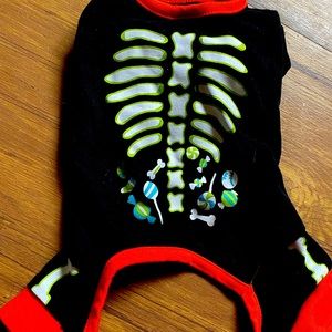 Halloween dog outfit